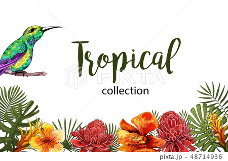 Summer Tropical Exotic Leaves and Branches composition with lettering 48714936