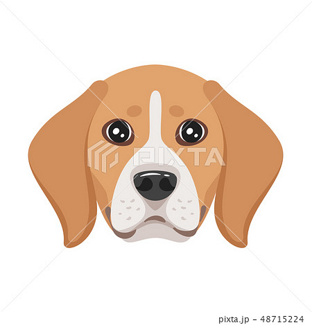 dog pet head icon dog pet head icon 48715224
