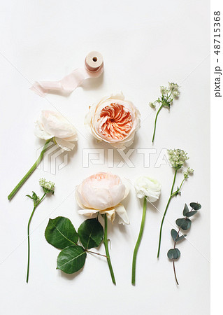 Summer botanical floral composition. Apricot English roses, ranunculus, astrantia flowers 48715368