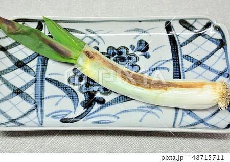 下仁田ねぎ焼き 下仁田ねぎ焼き 48715711