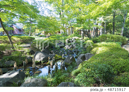 緑豊かな大田黒公園（東京都杉並区） 48715917