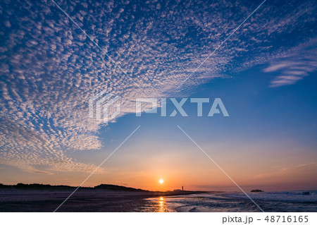 (静岡県)中田島砂丘 日の出 (静岡県)中田島砂丘 日の出 48716165