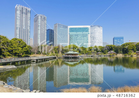汐留のビル群と浜離宮恩賜公園 48716362