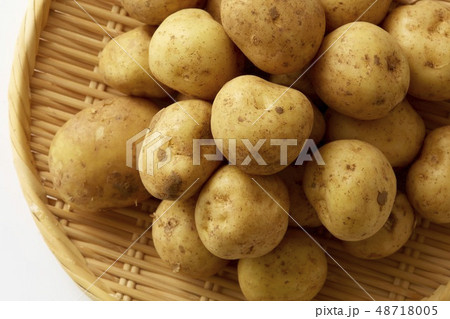 新じゃが 新じゃが 48718005