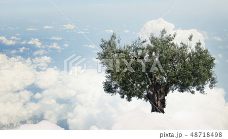 Green growing tree 48718498