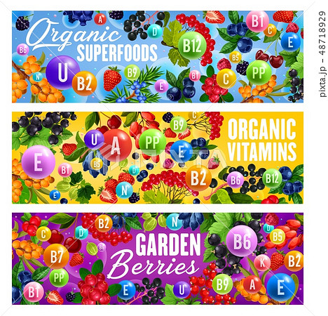 Vitamin superfoods and natural organic berries 48718929