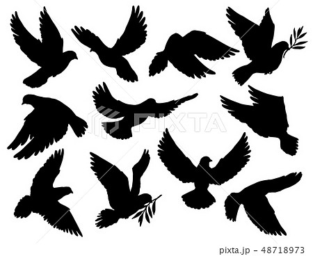 Pigeon Or Dove Birds Hold Olive Branch Silhouettesのイラスト素材