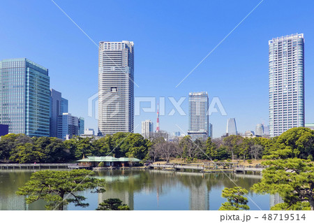 浜離宮とビル群と東京タワー 浜離宮とビル群と東京タワー 48719514