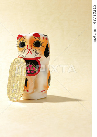 猫に小判 48720215