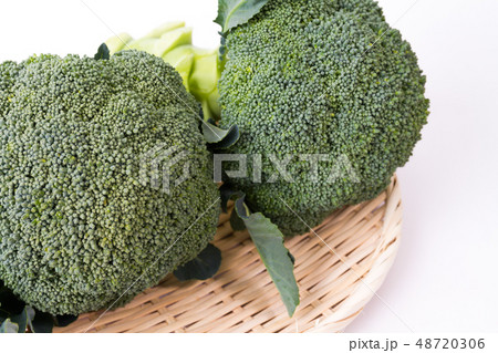 ブロッコリー ブロッコリー 48720306