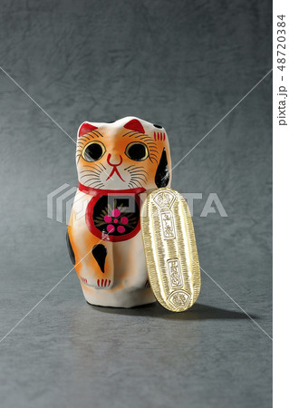 猫に小判 猫に小判 48720384