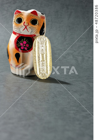猫に小判 48720386