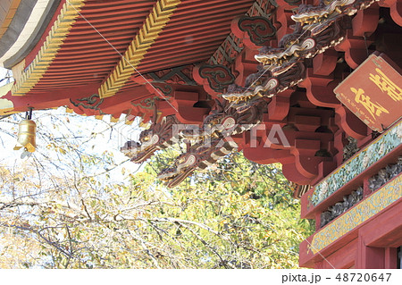 板橋不動尊　楼門の彫刻　茨城県つくばみらい市  48720647