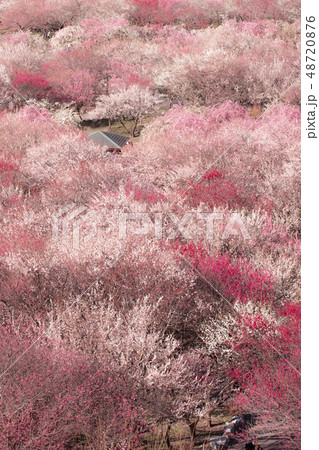 いなべ市農業公園 48720876