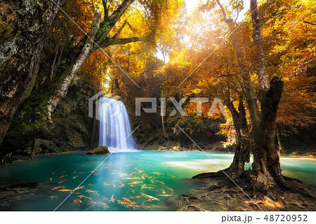 Deep forest Waterfall in Kanchanaburi, Thailand Deep forest Waterfall in Kanchanaburi, Thailand 48720952