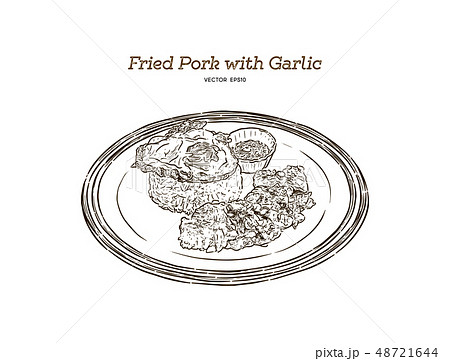 Thai style food, pork fried with crunchy garlic , 48721644