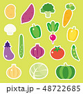 かわいい野菜 48722685