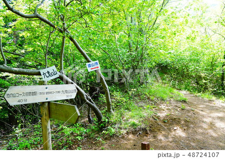 九鬼山への登山道　池の山・愛宕神社コース分岐 48724107