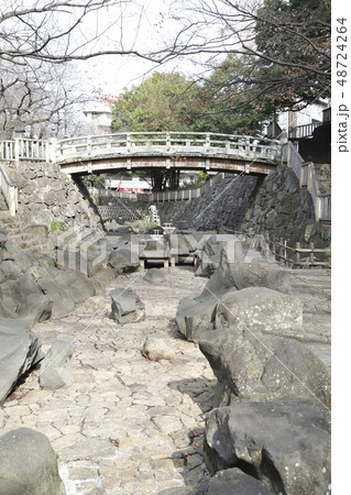 音無親水公園(おとなししんすいこうえん) 船串橋(ふなくしばし) 音無親水公園(おとなししんすいこうえん) 船串橋(ふなくしばし) 48724264