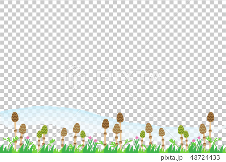 つくし つくし 48724433