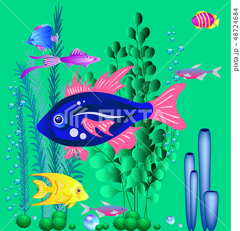 Underwater background, vector illustration for Underwater background, vector illustration for 48724684
