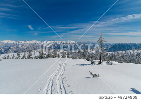 雪山　神楽ヶ峰付近 48724909