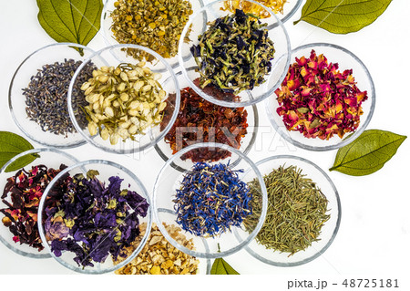 ハーブティー　Herbal tea of ​​the world 48725181