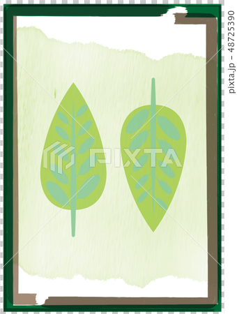 葉子例證背景 48725390