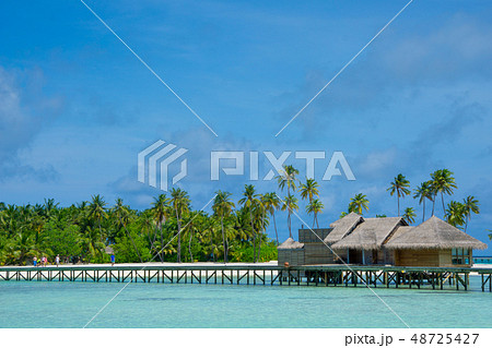 水上コテージと桟橋 水上コテージと桟橋 48725427