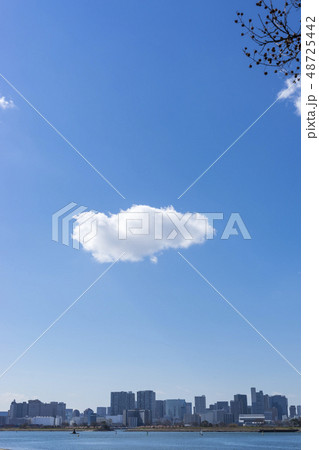 東京　お台場の風景　青空に雲 48725442