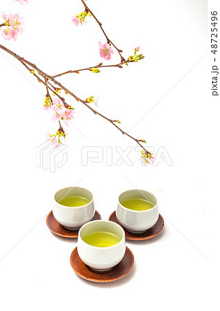 緑茶　Japanese green tea set 48725496