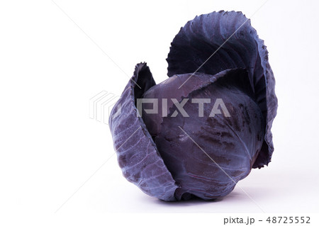 ムラサキキャベツ ムラサキキャベツ 48725552