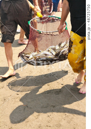 千葉県九十九里浜の地引網のアジの水揚げの写真素材