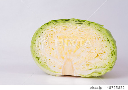 キャベツ 48725822