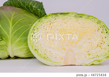 キャベツ 48725838
