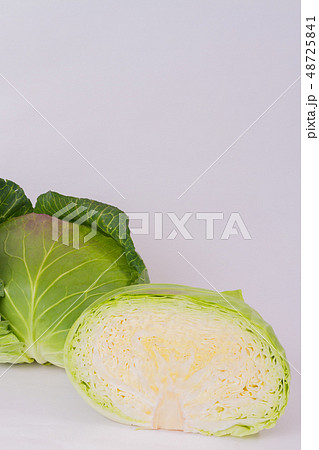 キャベツ 48725841