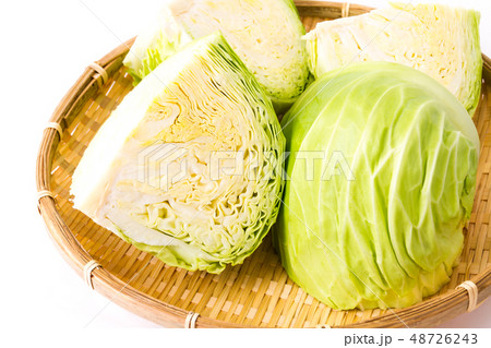 キャベツ キャベツ 48726243