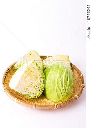 キャベツ キャベツ 48726245