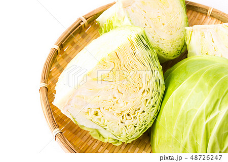 キャベツ キャベツ 48726247