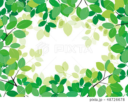 新緑 フレーム 新緑 フレーム 48726678