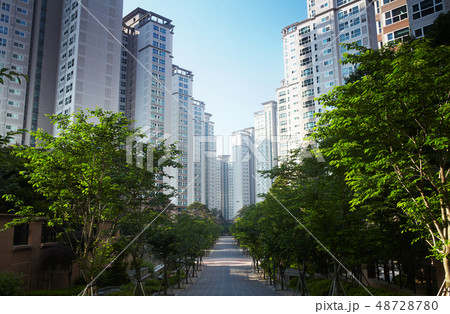 建築 高級 高層マンション 48728780