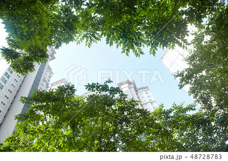 建築 高級 高層マンション 48728783