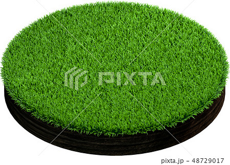 Cross section of ground with grass. Isolated on 48729017