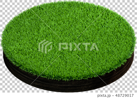 Cross section of ground with grass. Isolated on 48729017