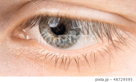 Eyes close-up 48729395