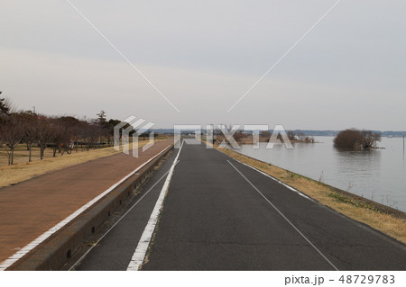 つくば霞ヶ浦りんりんロード つくば霞ヶ浦りんりんロード 48729783