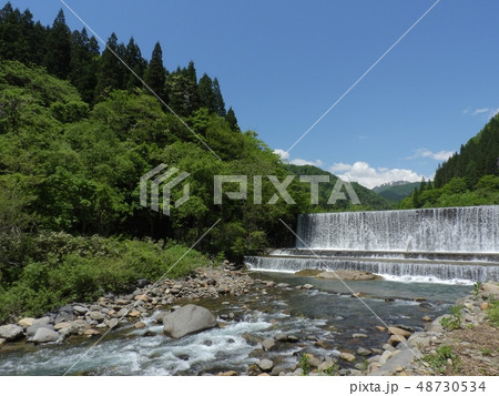 石徹白川 ( 2018年5月春 岐阜県郡上市 ) 48730534