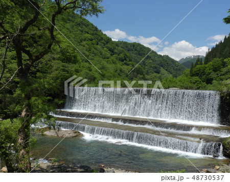 石徹白川 ( 2018年5月春 岐阜県郡上市 ) 48730537