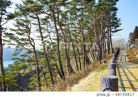 三陸ジオパーク山王園地からの眺めは最高 48730817