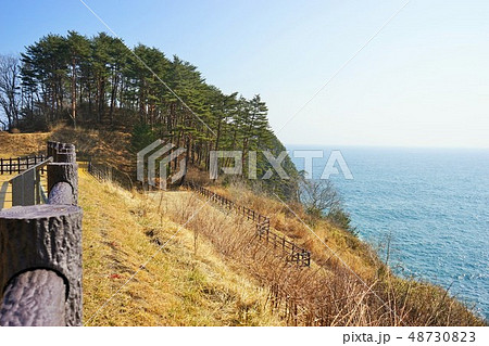三陸ジオパーク山王園地からの眺めは最高 三陸ジオパーク山王園地からの眺めは最高 48730823